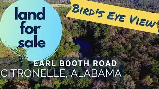 Alabama Land for Sale - 14 Acres of Land with Pond for Sale in South Alabama