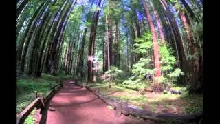 Armstrong Redwoods & Austin Creek State Reserves