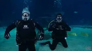 Healing Begins Below the Surface 🌊Georgia Aquarium Dive &ndash; 11AM 110225 #scubadiving  #adaptivediving