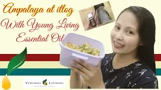Ампалая в Itlog с эфирным маслом Young Living