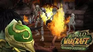 The Resto Druid TBC Experience