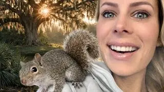 Rescuing a Baby Squirrel