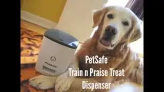 PetSafe Train n Praise Treat Dispenser