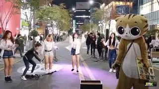 JHKTV] Sinchon đặc sản m&egrave;o nhảy sin chon đặc biệt cat k pop dance dance