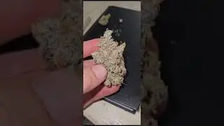 Blunicorn cured