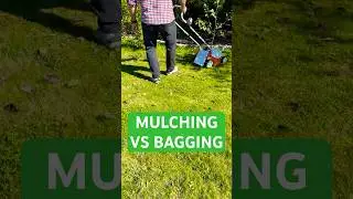 Mulching vs. Bagging Leaves: Best Fall Lawn Tip
