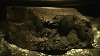 Meteorite that crashed into English driveway is now at London's Natural History Museum
