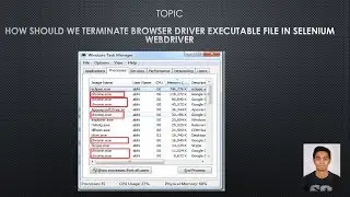 How Should We Terminate Browser Driver Executable File In Selenium WebDriver