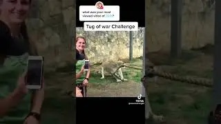 respect #shorts #animals #wild #muscle #men #gym #viral