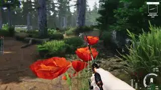 UFS2 Bug