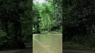 Beautiful rain in village road in kerala | Nostalgic | status video
