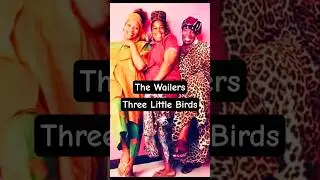 Bob Marley & The Wailers ~ Three Little Birds 🇯🇲
