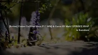 [Review] Contax CarlZeiss 50mm F1.7 MMJ & Canon 6D Mark 2 STREET SNAP in Kamakura