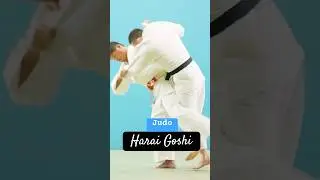 Harai Goshi - Sweeping Hip Throw #judo #shorts #bjj #Jiujitsu #takedowns #wrestling #ufc #mma