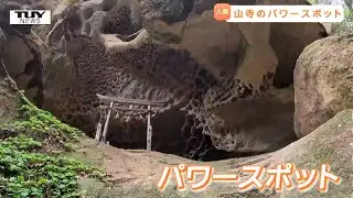 今、苦労して登った先の神秘的なパワースポットが話題！　県内有数の観光地「山寺」が賑わう（山形）