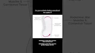 Pelvic Floor Muscle Coordination with Breath
