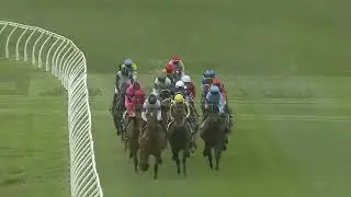 Ladies Day Cup 2025 &mdash; HARLEM QUEEN (3+ Hcp LR) выставлен на продажу в Хоксбери 8 ноября