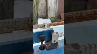 Контроль кормов. С Новым Годом!