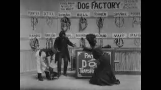 Dog Factory (1904) Edison