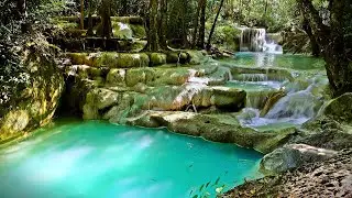 Calming Turquoise Cascade Waterfall in Jungle 🌿 | Gentle Water Sounds for Sleep, White Noise & ASMR