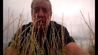 Using a Stripper Header for Harvesting