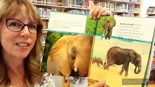 Elephant Storytime