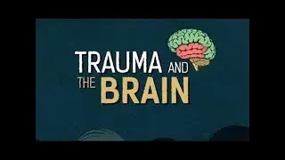 Trauma and Brain Part I: The Effects of Complex Childhood trauma on Behaviour and Learning