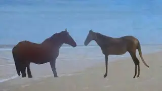 juan meets man
