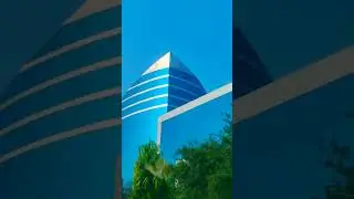 W T P#shortsvideo #viral #video