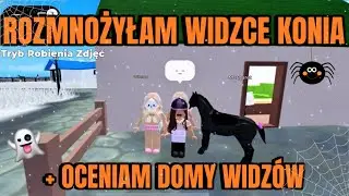 ROZMNOŻYŁAM WIDZCE KONIA ❤️ + OCENIAM DOMY WIDZÓW 🏠💕