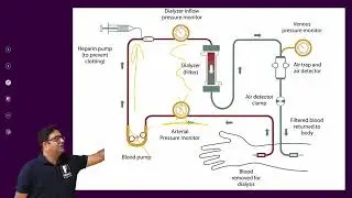 Parts of Dialysis Blood circuit