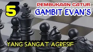 TOP 5 PEMBUKAAN CATUR GAMBIT EVAN'S || Evan's Gambit Opening || Terbaik dalam Kombinasi