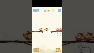 Bird Color Sort Level 1 🦚🦩🦜 ➖ Gameplay ➖ CaroGamesNL