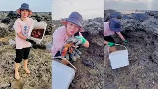 Fishing, finding bread crabs Fish video #catching #fishing #crab #hunting