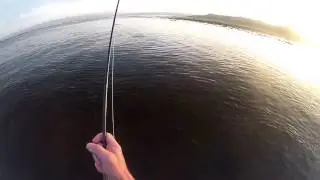 FLY FISHING FOR (SEA) BASS BY SIGHT - IRELAND