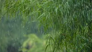 No copyright Rain video