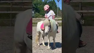 Ella's second riding lesson with her pony😍👏🏻 #pony #kids #horse