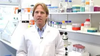 Video 4 Collecting, packaging and shipping samples of fixed tissues (including TSE)