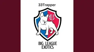 Big league Exotics