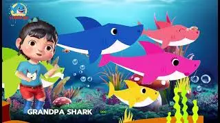 Baby Shark Doo Doo Dance | Best Kids Songs 2026 | Preschool Phonics Song & Nursery Rhymes for Kids
