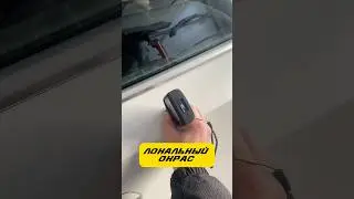 Результат по локальному окрасу