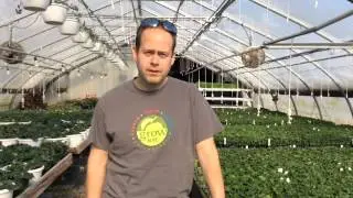 NYS veteran-owned farms receive funding through Cornell Program