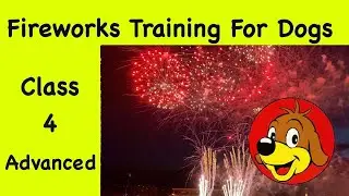 Fireworks Sounds For Dogs / Puppies Training 💖  Desensitisation To Calm & Relax Your Dog