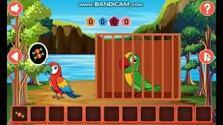 Trapped Parrot Escape
