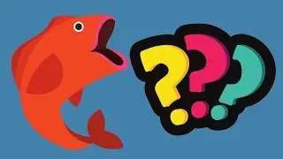 Puzzle animais marinhos, Puzzle marine animals