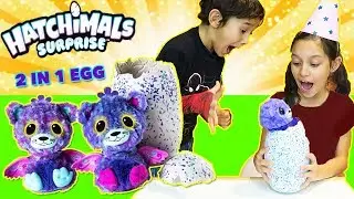TWIN Hatchimals Surprise Opening 2017 TWO HATCHIMAL  INSIDE EACH EGG Kids toy review !!