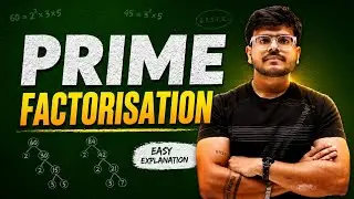 Prime Factorisation | Prime & Composite Numbers | SHiNE Academy