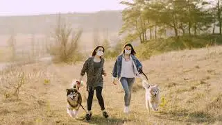 Cornwalls Top Dog Friendly Camping and Caravan Sites
