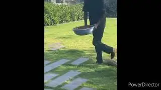 Dhoni enjoying with family in lockdown