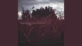 Sakevych: Silent Dawn, Grey Twilight